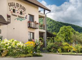 Pensiunea Casa cu Flori, hostal o pensión en Cisnădioara