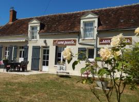 Gîte des petites Poules rousses 9 personnes Zoo Beauval et Châteaux de la Loire, casă de vacanță din Choussy