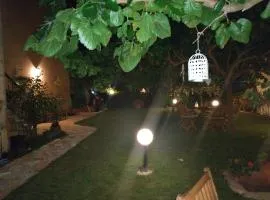 Fani House