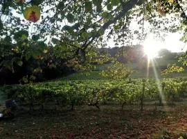 Château Régaldo-Saint Blancard