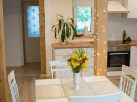 LiisuPesa Apartment with Sauna and Garden