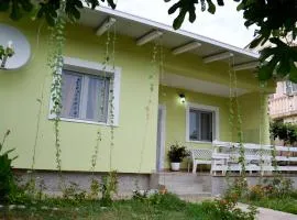 Green House and garden