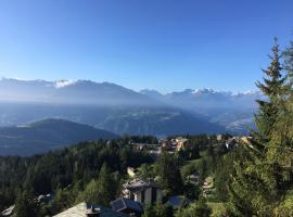 Pension Les Audannes, Hotel in der Nähe von: La Cuvette, Anzère