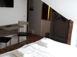 Pension Zentrum Riesa, hotel a Riesa