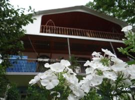 Dalko, hotel din Borjomi