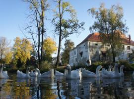 Piotrowice Nyskie Palace – hotel w mieście Otmuchów