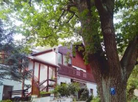 Pension Fischer