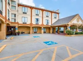 Comfort Inn & Suites Love Field-Dallas Market Center