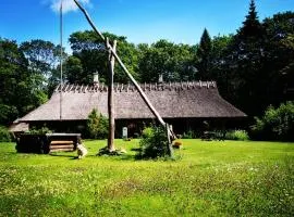 Kotka Farm