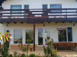 Casa Tomson, free parking, aproape de natura