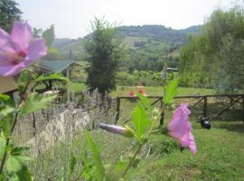 Le Spighe Agriturismo、チェゼーナのファームステイ