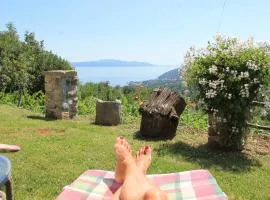 2 Apartments in Old Stone House near Opatija