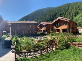 Inanlar Premium Suites & Villas – domek wiejski w mieście Uzungöl