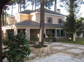 El Chalet del Pinar, villa in Cuenca