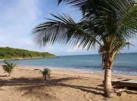 Bungalow sur magnifique plage-Le Nid d'Amande