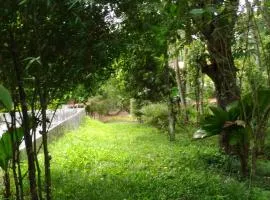 Philip Mary Farm Stay