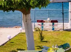 Kiko, the Coastline house