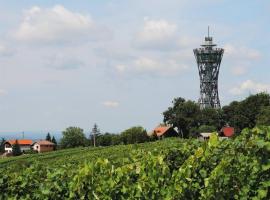 Zidanica Lan, hotel in Lendava