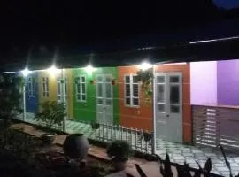 Catba full house
