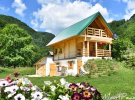 Mountain Lodge Mont Peace, готель у місті Колашин