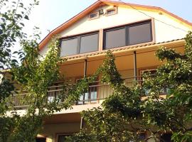 Resort Hotel BIJNISI, accessible hotel in Surami