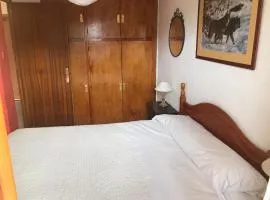 Apartamento céntrico en Formigal