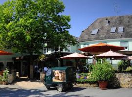 Gasthof Löwen, Heitersheim, guest house in Heitersheim