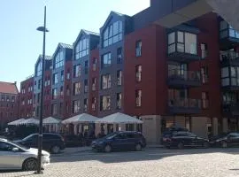 Przytulny apartament blisko Motławy i Neptuna z miejscem w garażu gratis