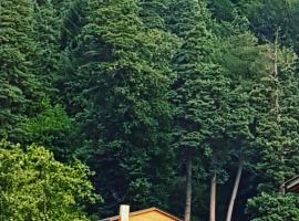 Villa B Barleon-Bakuriani