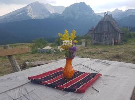 Studio apartment Pitomine