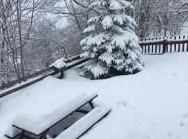 En pleine nature avec jardin