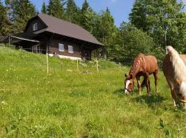 PANORAMA RANČ