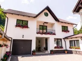 Vila Rodica Transalpina