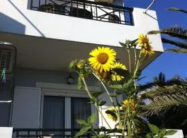 Vasila seaview