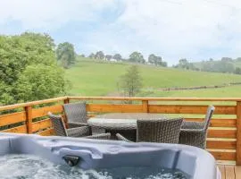 Manor Farm Lodges - Red Kite Lodge