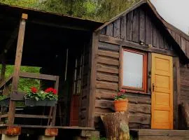 Domek pod lasem