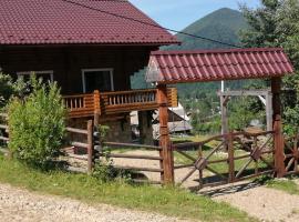 Vidal, casa de muntanya a Tatariv