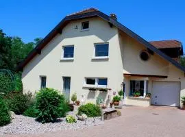 Großzügige helle Ferienwohnung bis 4 Personen in Chalampe, Elsass