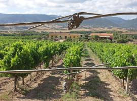 Agriturismo Campesi casale tra le vigne, заміський будинок у місті Альєнту
