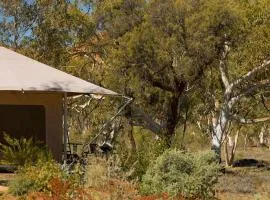 4 hotel in Alice Springs