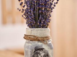 Lavand House, khách sạn ở Vişeu de Sus