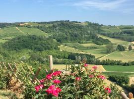 Large secluded villa, fabulous countryside views, beautiful Piedmonte landscape: Castelnuovo Belbo'da bir otel