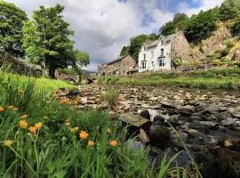 Plas Tan y Graig B&B Guest House Beddgelert