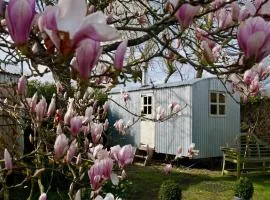 The Wayside Shepherd Hut