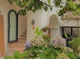 Sorrento Studios Lemons Hill