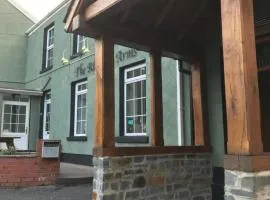 Rheolau arms