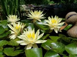 Trickling Waters Retreat, chal&eacute; alpino em Marquette