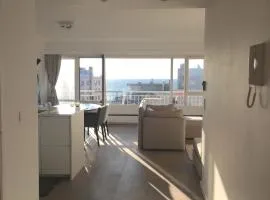 sea and city view with double terrace Flat C Oostende
