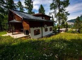 Almhaus Lärchegg