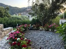 LA PERGOLA appartamenti